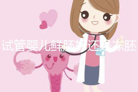 試管嬰兒鮮胚好還是凍胚好（試管嬰兒鮮胚好還是凍胚好呢）