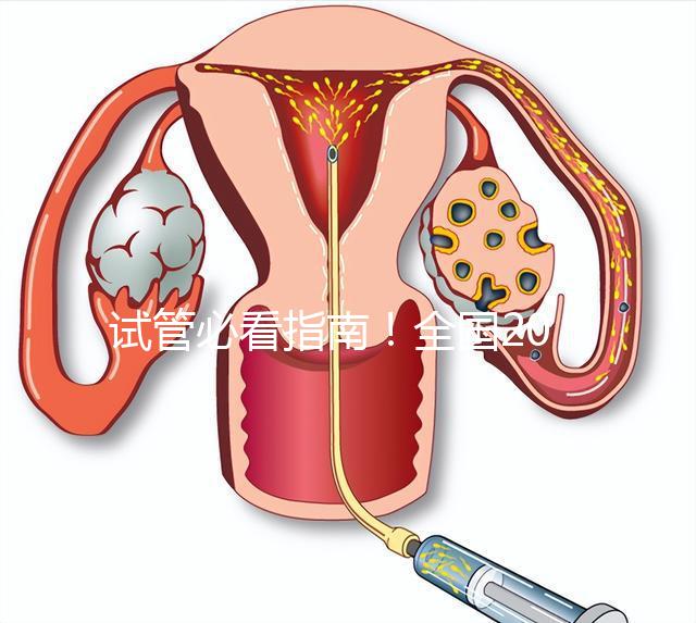 試管必看指南！全國(guó)20家試管嬰兒醫(yī)院真實(shí)成功率對(duì)比（附3-8萬費(fèi)用避雷表）