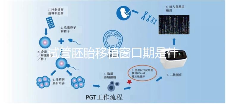試管胚胎移植窗口期是什么？如何選對(duì)時(shí)機(jī)？