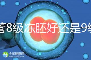 試管8級(jí)凍胚好還是9級(jí)好進(jìn)來瞧，看完二者區(qū)別全明白