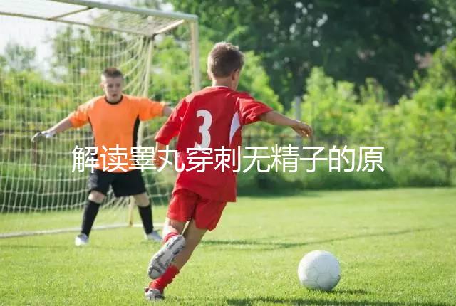 解讀睪丸穿刺無精子的原因，治愈性不大供精或是最后選擇