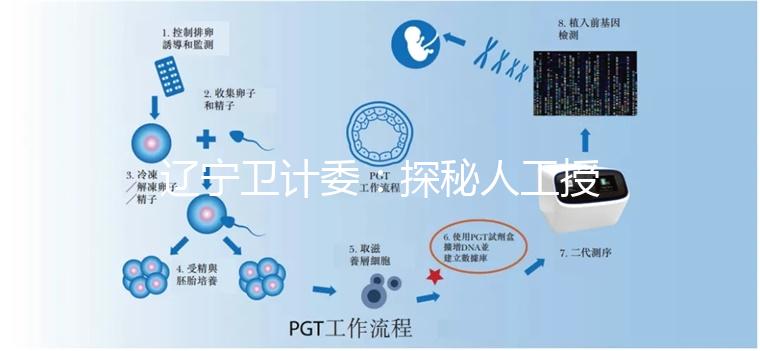 遼寧衛(wèi)計委：探秘人工授精和試管嬰兒的區(qū)別