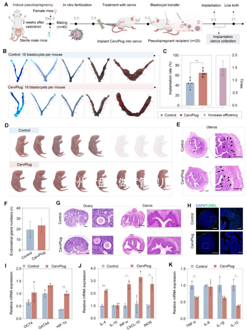 貴州六盤水做試管嬰兒多少錢？能做試管的醫(yī)院名單來(lái)了