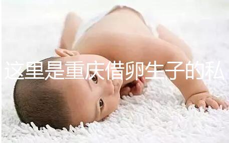 這里是重慶借卵生子的私立好醫院,附2024前三機構詳細介紹