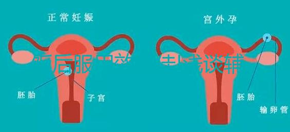 飯后服用效更佳!淺談輔酶Q10的正確服用方法