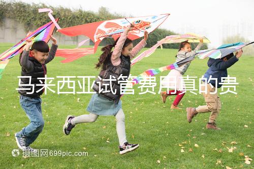 馬來西亞試管費用真的貴么？同善醫院價格說明