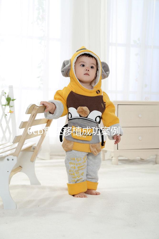 6cb囊胚移植成功案例并不少！過來人分享經驗帶你好孕