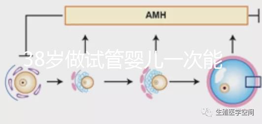 38歲做試管嬰兒一次能成功嗎？提前準備好這4點或許可以