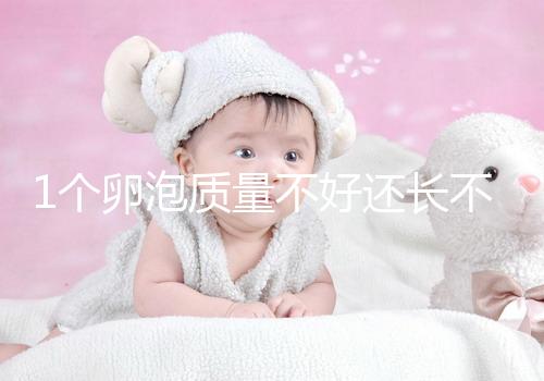 1個卵泡質量不好還長不大,如何提高試管嬰兒懷孕成功率?