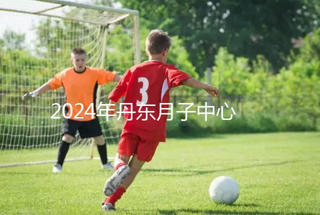 2024年丹東月子中心收費標(biāo)準(zhǔn)，能否接生問題整理，想要制作的戳