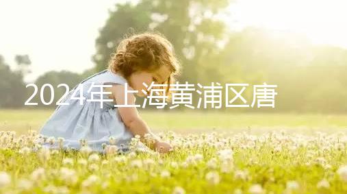 2024年上海黃浦區唐篩檢查費用不高找到合適的預約渠道可以免費