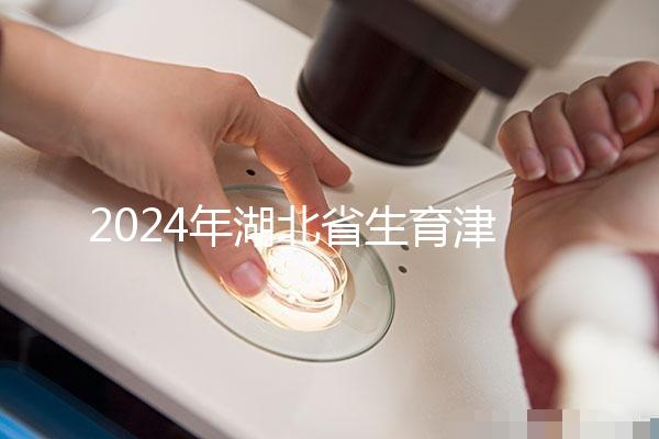 2024年湖北省生育津貼政策附武漢、黃石超詳細流程