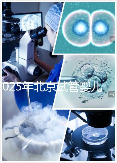 2025年北京試管嬰兒機構(gòu)哪家強?生育旅程如何開啟?