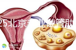 2025北京專(zhuān)業(yè)試管助孕機(jī)構(gòu)可靠推薦來(lái)咯，這3家超棒，快碼住！