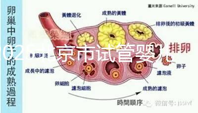 2025北京市試管嬰兒醫(yī)院排名TOP10：推薦5家私立機構(gòu)+5家公立醫(yī)院