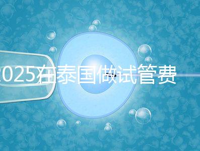 2025在泰國做試管費用預估，助孕一次不到10萬