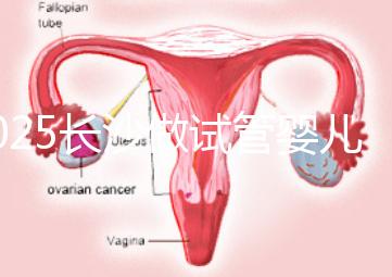 2025長(zhǎng)沙做試管嬰兒貴嗎？一起算算要花多少錢(qián)